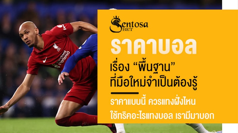 ราคาบอลออนไลน์