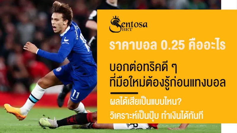 ราคาบอล 0.25 คืออะไร