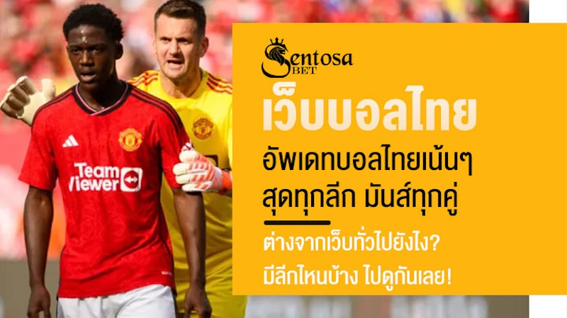 เว็บบอลไทย