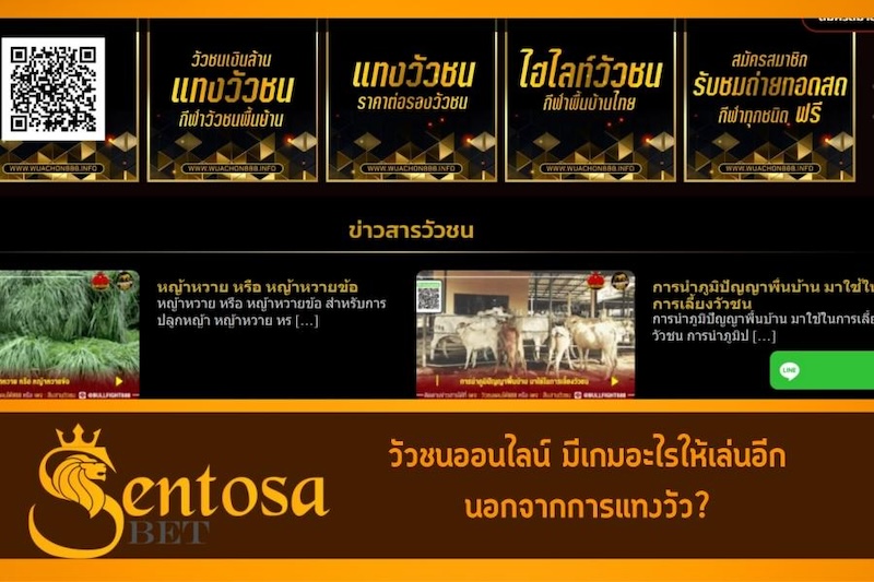 เว็บพนันวัวชนออนไลน์