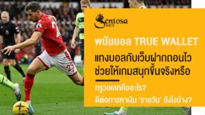 พนันบอล true wallet