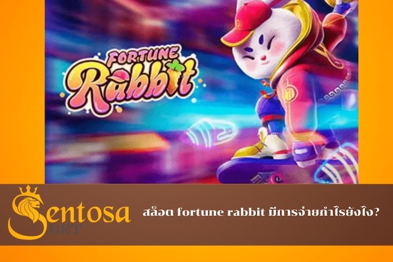 Fortune Rabbit