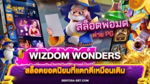 Wizdom Wonders