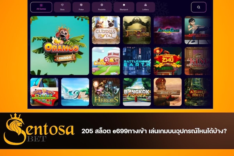 205 สล็อต e699 เข้าสู่ระบบ